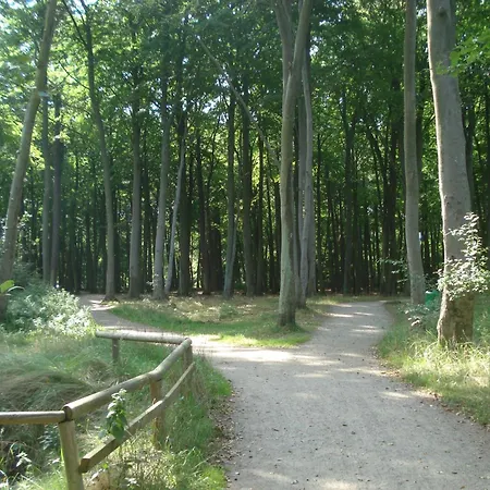 Apartman Haus Malta - Strandstrasse Müritz