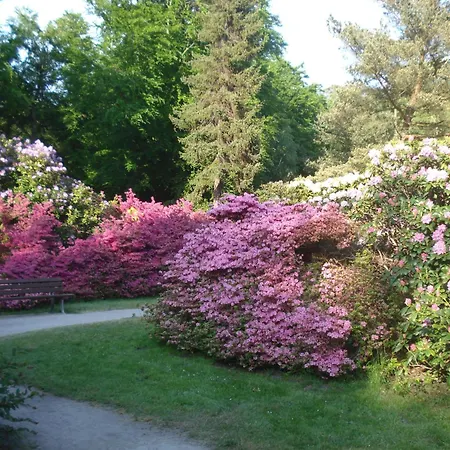 Haus Malta - Strandstrasse Apartman