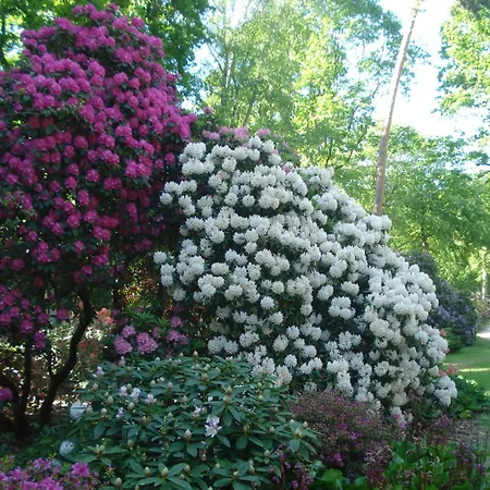 Apartman Haus Malta - Strandstrasse Müritz